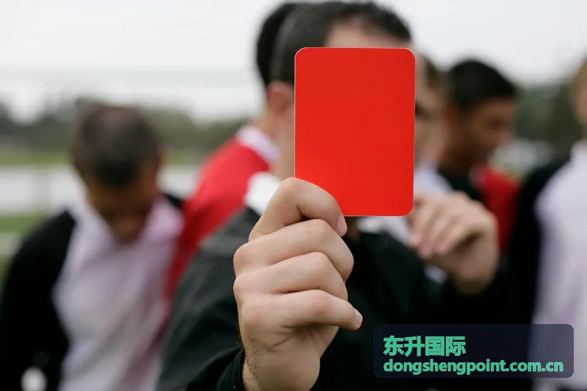 东升国际多设备服务支持